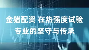 金猪配资 在热强度试验专业的坚守与传承